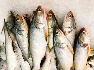 Fresh fish on ice in the market