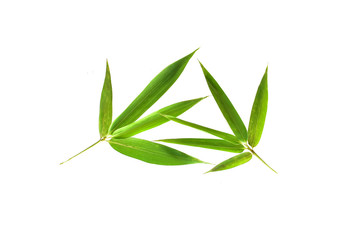 bamboo leaves isolated on a white background with a cliping path, tropical leaf, can be used as background and wallpaper,