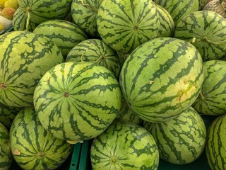 watermelon in the market