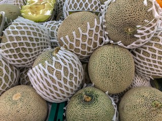 fresh melon in the market