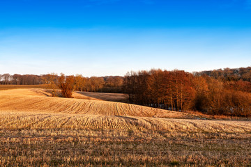 Sunset over the Fields