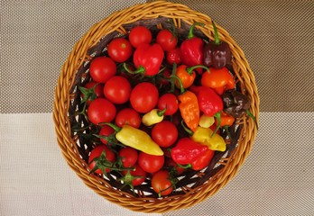tomatoes in a bowl