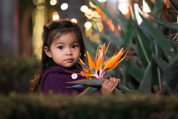 Cute Little Girl Holding a Bird of Paradise Plant