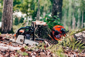 chainsaw and helmet in the forest, deforestation for logging