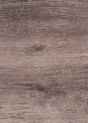 Fototapeta premium A Regular wood texture with vertical and horizontal lines. Subtle grey wooden background for natural banner. Timber surface closeup. Natural material for banner template.