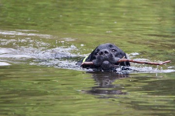 Fototapeta premium MTB im Schnee
