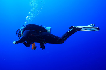 Diving the Red Sea Egypt