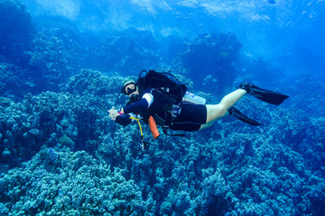 Fototapeta na wymiar Diving the Red Sea Egypt