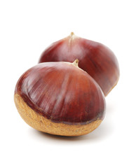 Sweet chestnut on white background