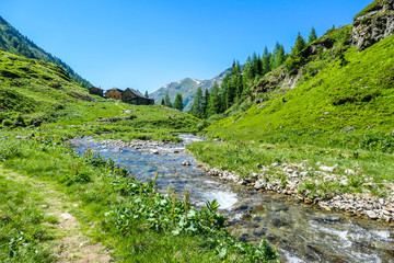 Naklejka na ściany i meble A serene view on snowy mountain from a small stream's side. The stream starts it's long way to the sea. Tall glacier towering above the landscape. Spring in the alpine valley.