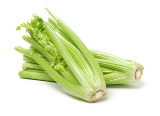 Celery on a white background