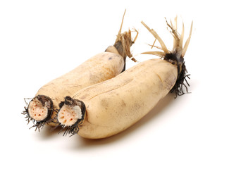 Lotus root on the white background