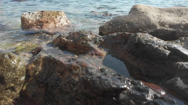 Close up of rocks on shoreline with limpets, and small wave splashes 