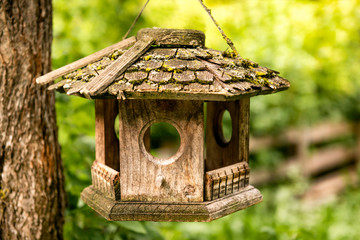 Old birdhouse from wood in green garden