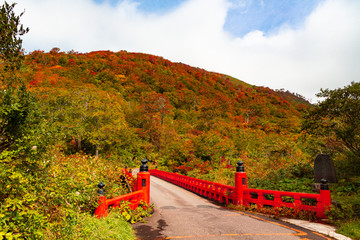 湯殿山の紅葉