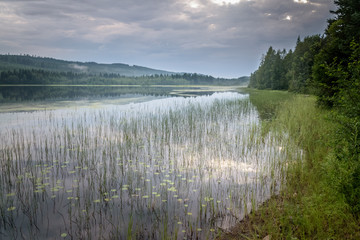 Nature scenery at river with green forest shores Sweden