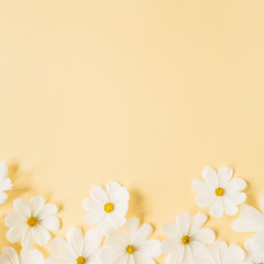 Minimal styled concept. White daisy chamomile flowers on pale yellow background. Creative...