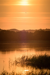 Golden sunlight casting over the lake abundant with birdlife Estonia