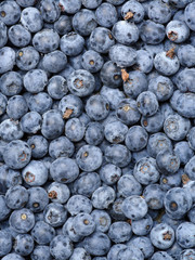 Background of fresh ripe blueberries. Close-up.