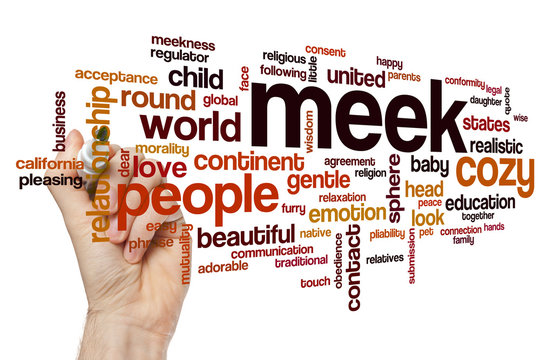 Meek Word Cloud