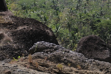 Obraz premium Deep Forest Stream Water Rushing by Big Rock in Middle River at Morning Sunshine and Warm Sunbeam or Sun Ray Through Tropical Forest Tree.