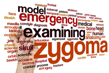 Zygoma word cloud