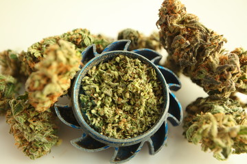 grinded medical cannabis hemp buds