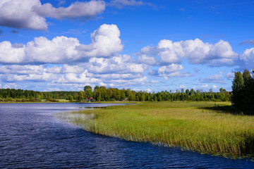 Picturesque lake with forest on the shore. Typical nature of Finland.