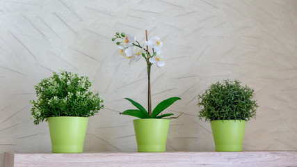 cozy little vases with plants on top of a closet