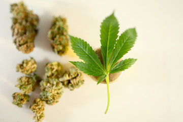 Medical marijuana cannabis cbd oil