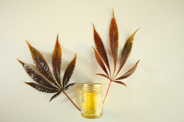 Medical marijuana cannabis cbd oil