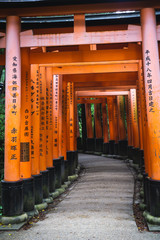 Red Torii gates in Fushimi Inari shrine in Kyoto, Japan