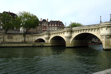 Fototapeta premium Pont Neuf. Paris. France.