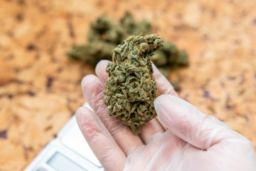 The 10 most popular cannabis strains.The best cannabis strains for focus and ADD/ADHD. Terpenes in...