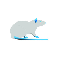 A gray rat with blue eyes and a blue tail on a white background.