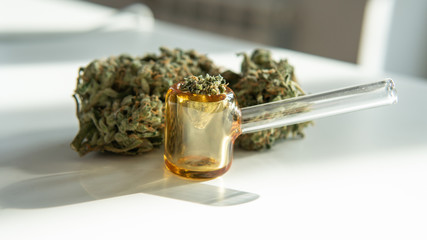 Explore cannabis strains with a new perspective. Cannabinoid and terpene profile, Terpenes in...