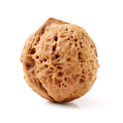 walnuts on a white background