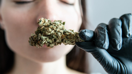 Indica vs. sativa: What’s the difference between cannabis types