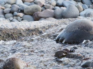 Fototapeta premium OLYMPUS DIGITAL CAMERA
