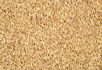Raw oat grouts closeup texture