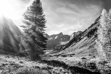 Obraz premium Herbstlicht in einer Berglandschaft im Zillertal in schwarz weiß
