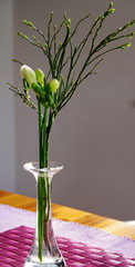 Kristallglas-Vase mit weißen Freesien