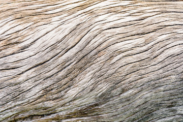 old wood texture