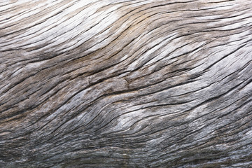 old wood texture