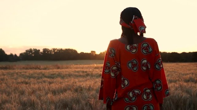 HD Video clip of African woman farmer in traditional clothes standing in a field of crops, wheat or barley, in Africa at sunset or sunrise