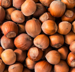 Hazelnut background, top view of fresh hazelnuts, autumn harvest
