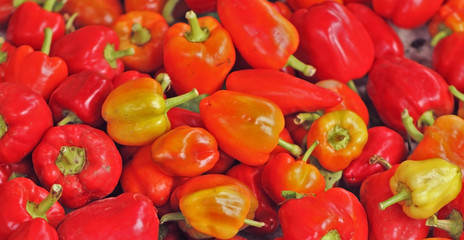 Red bell pepper nice background