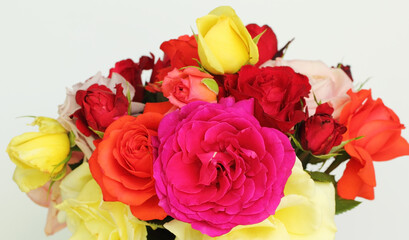 Fresh bouquet of multicolored roses