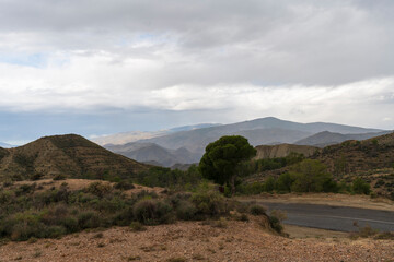 Naklejka premium landscapes near the Ricaveral road (Almeria)