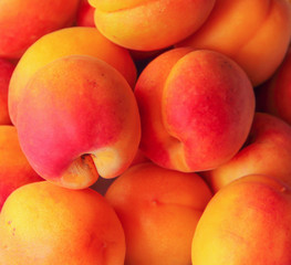 Close up of sweet fresh apricots background